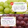 【送料無料】訳あり・規格外品 シャインマスカットと品種お任せぶどうのセット