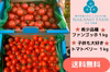 ‼️10/26前後まで‼️トマトベリーとファンゴッホ各1kg‼️送料無料