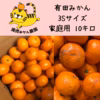 愛情たっぷりで育った有田みかん★温州みかん　3Sサイズ以下　約10キロ