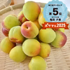 【朝もぎ直送】自家製梅干しに最適!　完熟南高梅 (特別栽培)