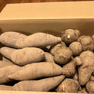 はるかと里子のホクホクセット・８キロ