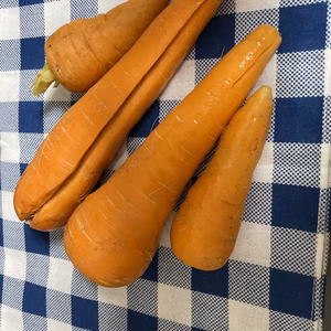 【野菜ジュース用】訳ありにんじんを箱に詰めれるだけ！！