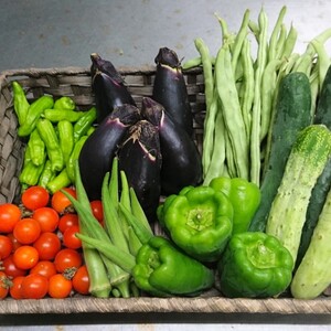 イワンファームの固定種野菜セット 栽培期間中農薬化学肥料不使用