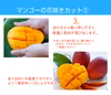 【樹上完熟】燦々マンゴー（沖縄県産）　優品1kg