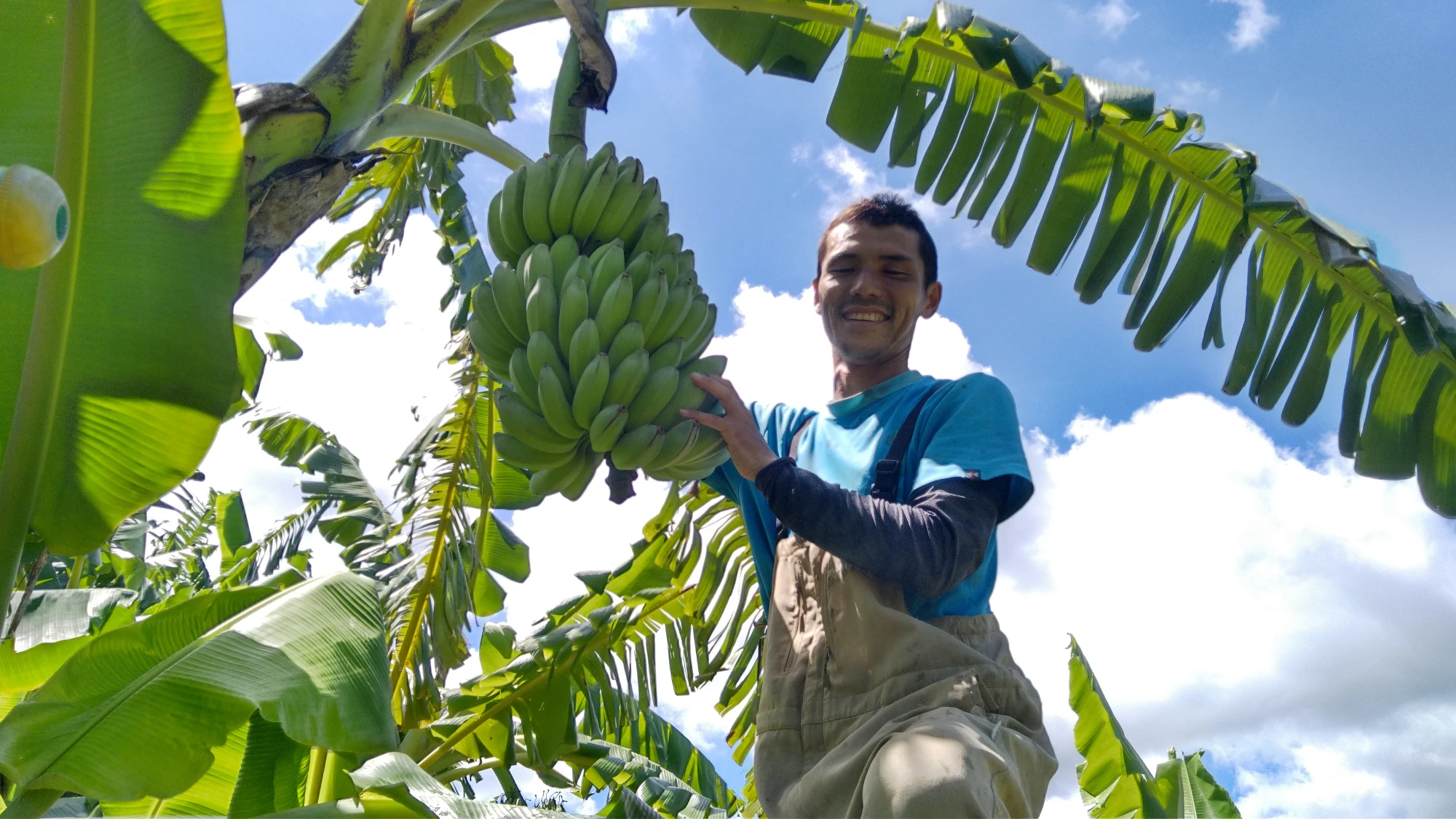 バックナンバー]新年度の3選！→沖縄アップルバナナ🍌津軽海峡