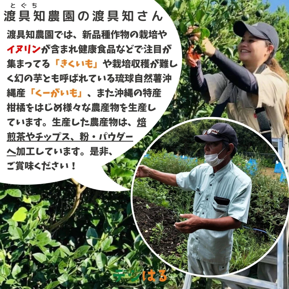 【送料込】からきパウダー｜沖縄産（無農薬）