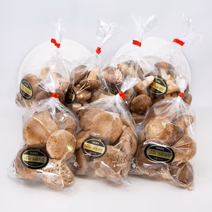 うみかぜ椎茸A品B品セット