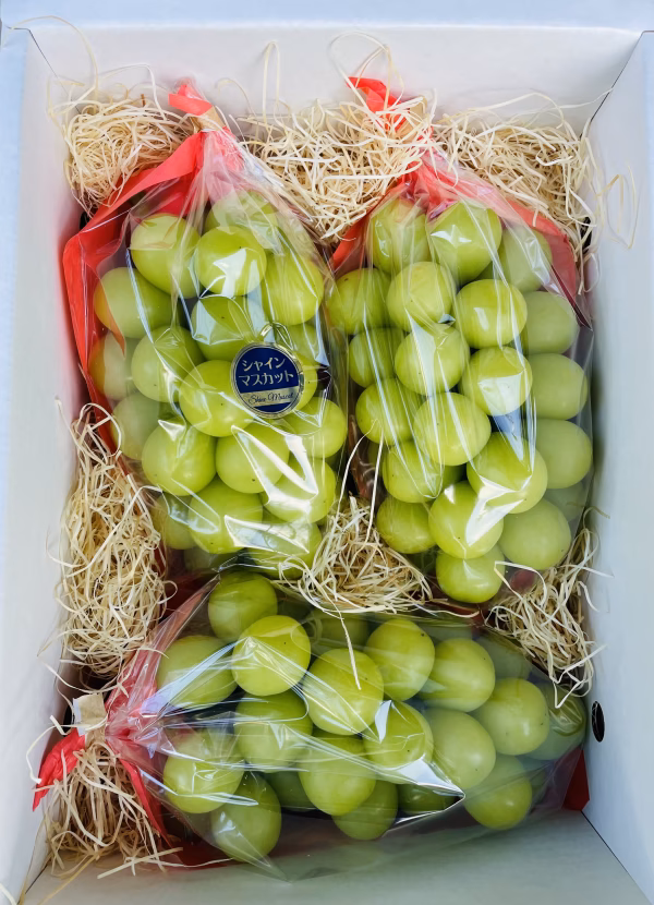 【ギフト用】 ぶどう シャインマスカット ◡̈ 