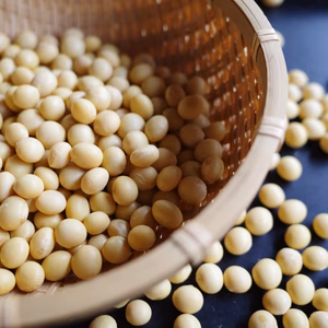 【自然栽培】乾燥大豆「里のほほえみ」〜令和7年・山形県鶴岡産〜