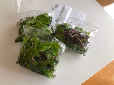 みんなの投稿の画像