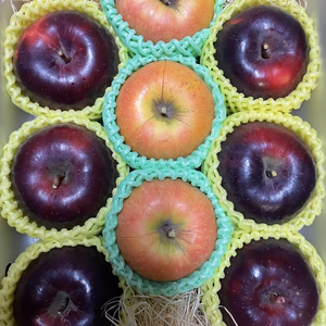 【ギフト用】中玉蜜入りりんご こうみつ＋ムーンルージュ◡̈