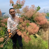 小林康寿 | コバヤシ・ローゼ