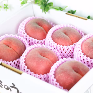 【9月上〜中旬発送】桃ギフト　5kg（16〜18玉）