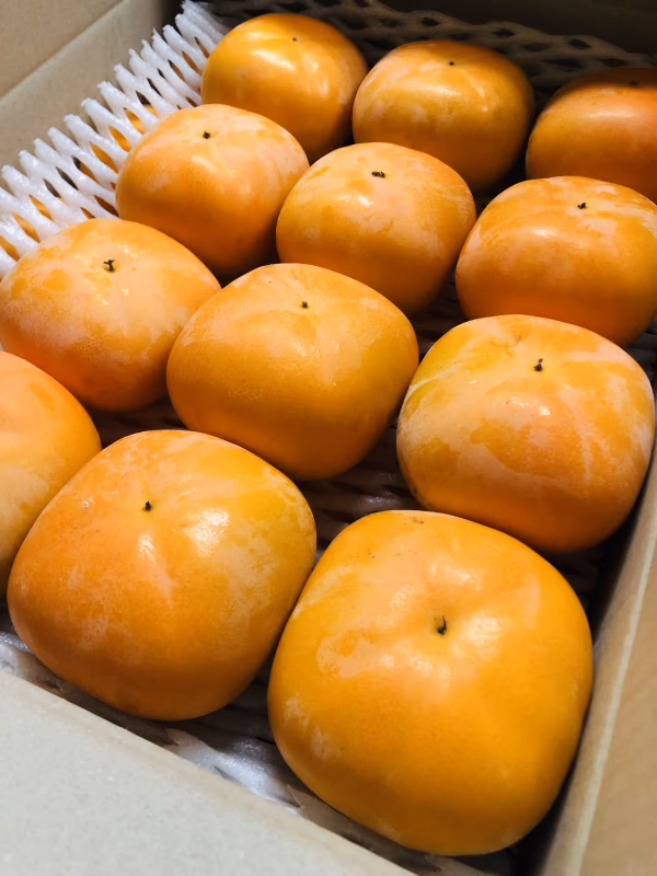 【別格！一級品】甘くて濃い「おけさ柿」3L以上、特別な方への贈り物お歳暮にも