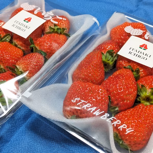 いただきいちご園の厳選4品種セット　約２６０g×4パック