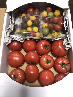 みんなの投稿の画像