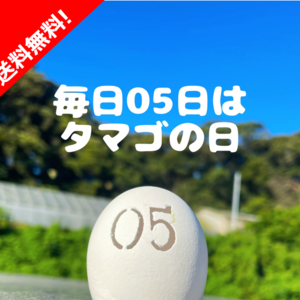 毎日05日はタマゴの日‼　濃厚自慢の名古屋コーチン卵36個入‼