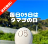 毎日05日はタマゴの日‼　濃厚自慢の名古屋コーチン卵36個入‼