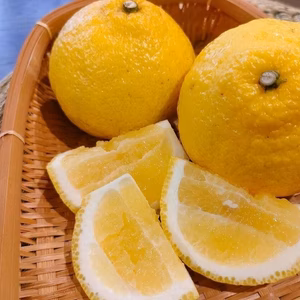 畑のキャンディー！「はるか」5kg箱