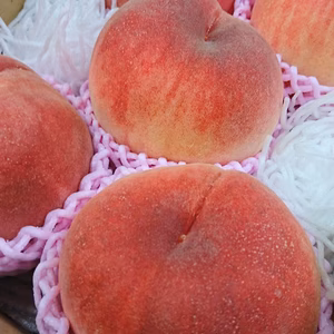 山梨産・大玉もも！【秀麗-しゅうれい-】2㎏箱（5玉）【7・8月発送】-贈答用-