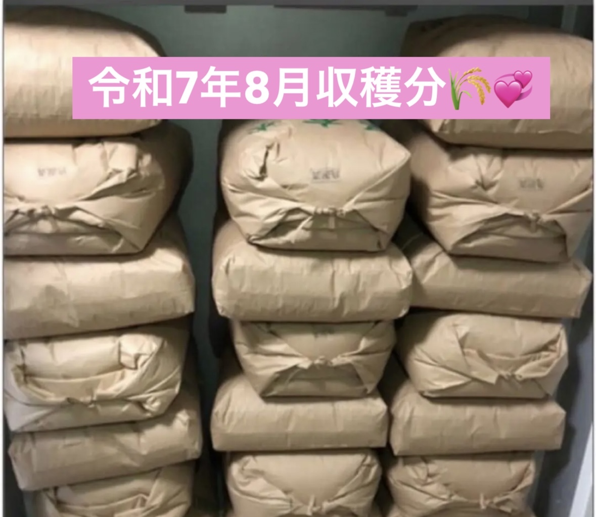 特別特価！！令和7年新米⭐︎高知産コシヒカリ⭐︎玄米30kg 節減