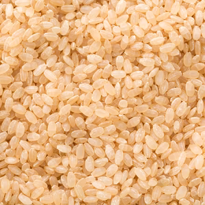 【令和6年産の新米】ミルキープリンセス　玄米