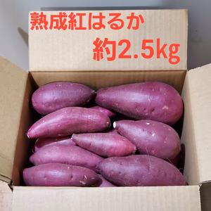 ねっとり極甘さつまいも！熟成紅はるか（s~2Lサイズ不揃い詰め合わせ