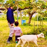 新居田純平 | 新居田農林