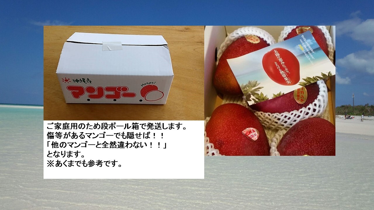 マンゴー　約2.8キロ 楽天市場】沖縄県より産地直送 JAおきなわ 美らマンゴー 最上級