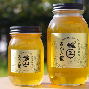 みかんの花から蜜蜂が集めてくれたハチミツ（2025年みかん蜜600g・和歌山）