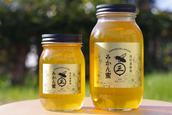 みかんの花から蜜蜂が集めてくれたハチミツ（2025年みかん蜜1200g・和歌山）
