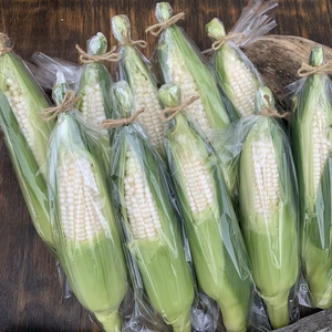 ホワイトコーン　5本入