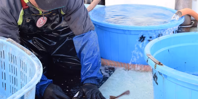 魚の命、丸ごと楽しんでもらう。これが現代の漁師の使命だ！