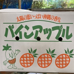 大盤振る舞い　小玉中玉まとめて大特価　美味しいスナックパイン　パイナップル
