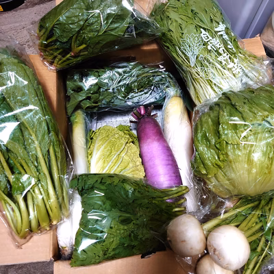 みんなの投稿の画像