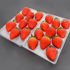 【化粧箱入】大玉贅沢三昧！いただきいちご園の厳選4品種食べ比べセット