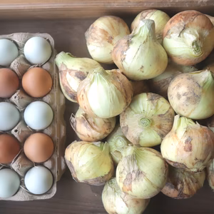 淡路島産・無農薬新玉ねぎ&カラフルたまごセット