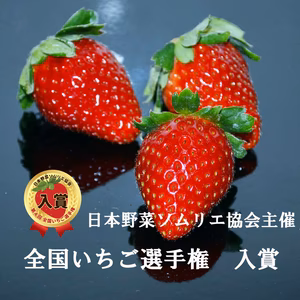 和歌山オリジナルいちご　【まりひめ】　２パック・4パック