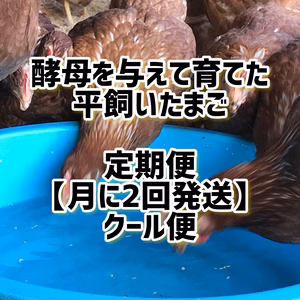 定期便（月2回）【酵母・平飼いたまご】酵母を与えて育った平飼い卵（元気たまご）