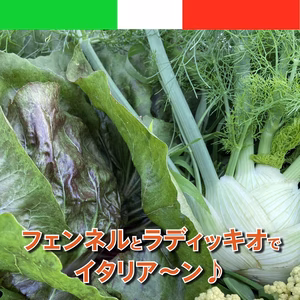 フェンネル+ラディッキオ・ロッソ+掘り立てジャガイモ+葉つき人参のセット