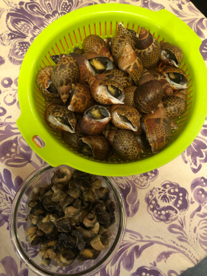 4点限り 海の貝あれこれミックス1kg 農家漁師から産地直送の通販 ポケットマルシェ