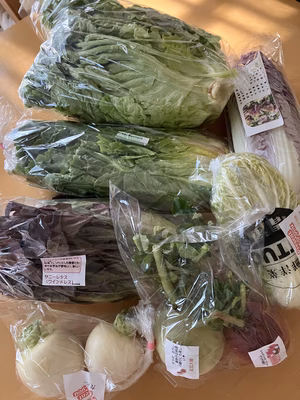 みんなの投稿の画像