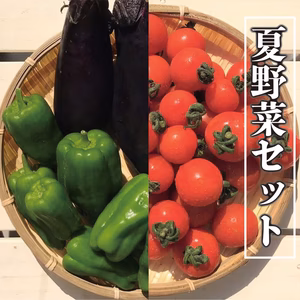 採れたて！オーガニック夏野菜セット