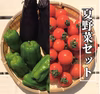 採れたて！オーガニック夏野菜セット