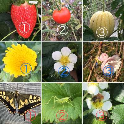 みんなの投稿の画像