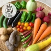旬の夏野菜セット【農薬・化学肥料不使用】カラフル野菜の詰め合わせセット