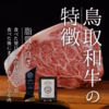32 鳥取和牛 肩ロースと赤身すき焼き用スライス化粧箱