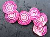 ロリポップキャンディ風の甘くて美味しい渦巻きビーツ （春まき6月～収穫）