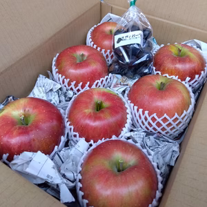 【シナノスイート】ジューシーで甘い「シナノスイート」＆ナガノパープル粒