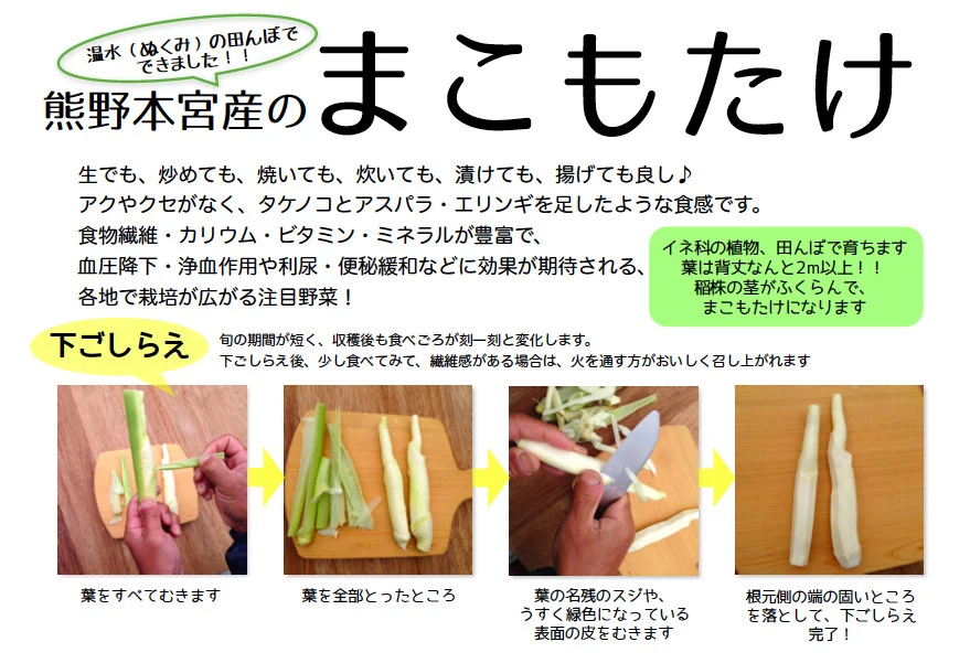 わけあり！！[ 自然栽培 ] まこもたけ ｜野菜の商品詳細｜ポケット